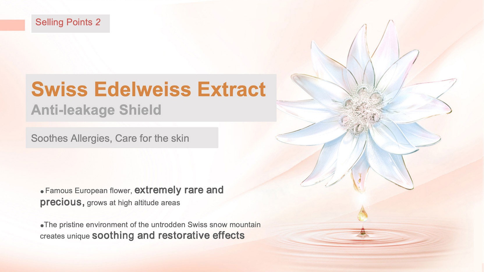 Swiss Edelweiss ExtractAnti-leakage Shield
Soothes Allergies, Care for the skin
.Famous European flower, extremely rare andprecioUS, grows at high altitude areas
eThe pristine environment of the untrodden Swiss snow mountaincreates unigue soothing and restorative effects